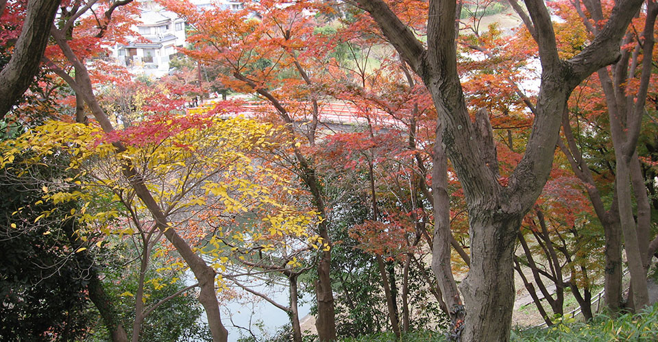 竜田公園